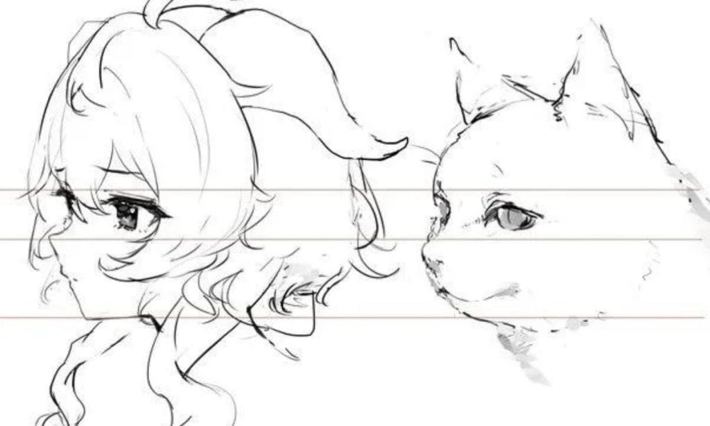 Is Anime Drawing Based on Cats - Are Anime Characters Based On Cats