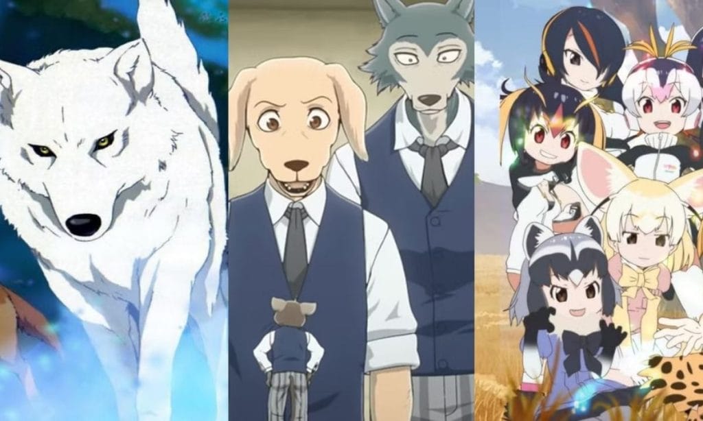 What Animal Are Anime Characters Based On - Are Anime Characters Based On Cats