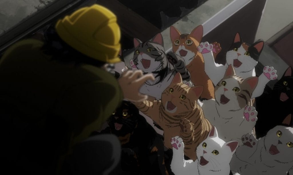 All About Nyaight of the Living Cat Anime 1 What is Nyaight of the Living Cat - All About Nyaight of the Living Cat Anime