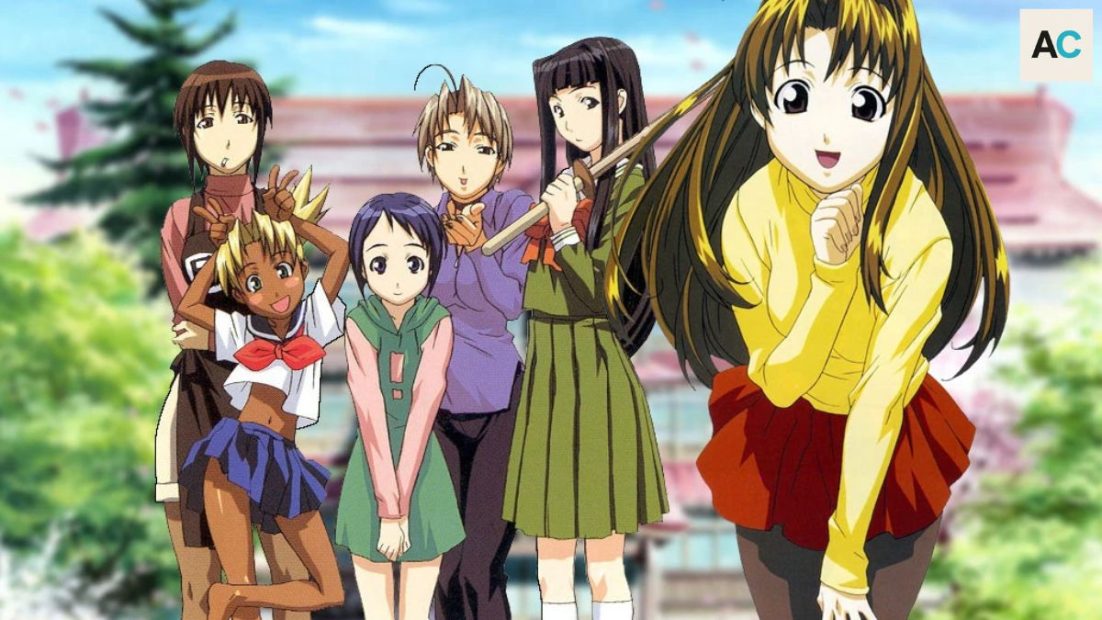 25 Best Harem Anime of All Time Ranked