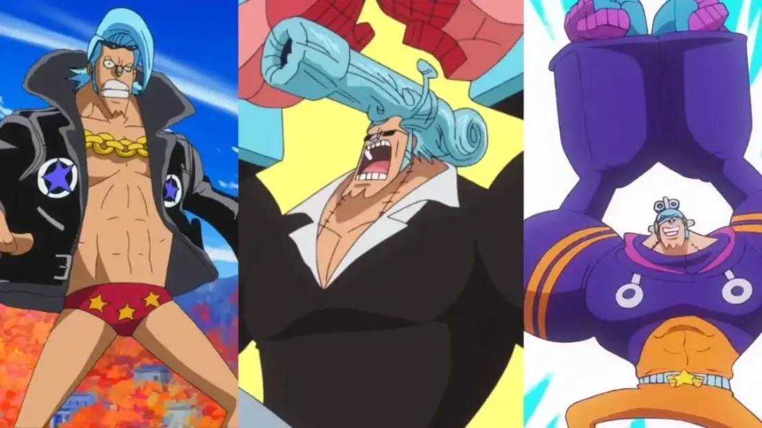 3 Best Franky Figures to Buy in 2026 3 Best Franky Figures to Buy in 2026