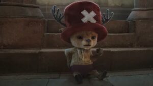 Best Chopper Hats to Buy