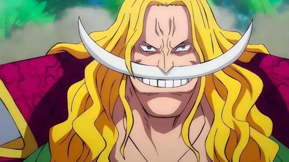 Best Whitebeard Cosplay Costumes To Buy Best Whitebeard Cosplay Costumes To Buy
