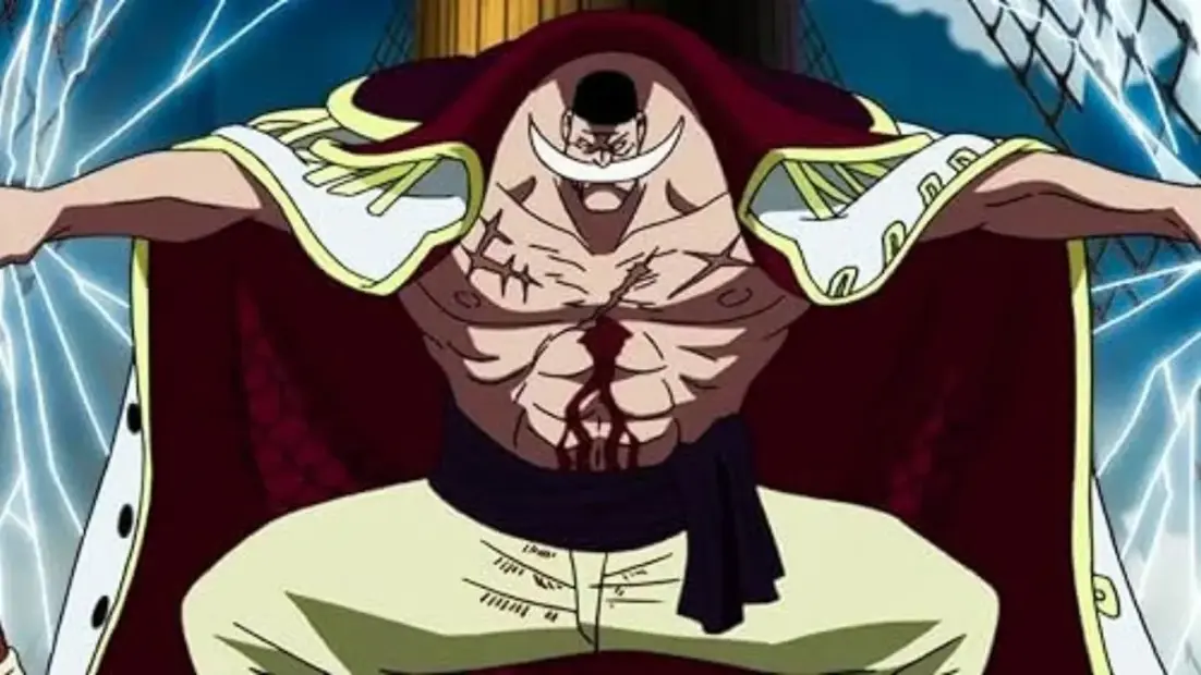 Best Whitebeard Figures To Buy Best Whitebeard Figures To Buy