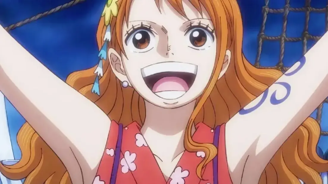 Nami and One Piece Funko Pop Figur